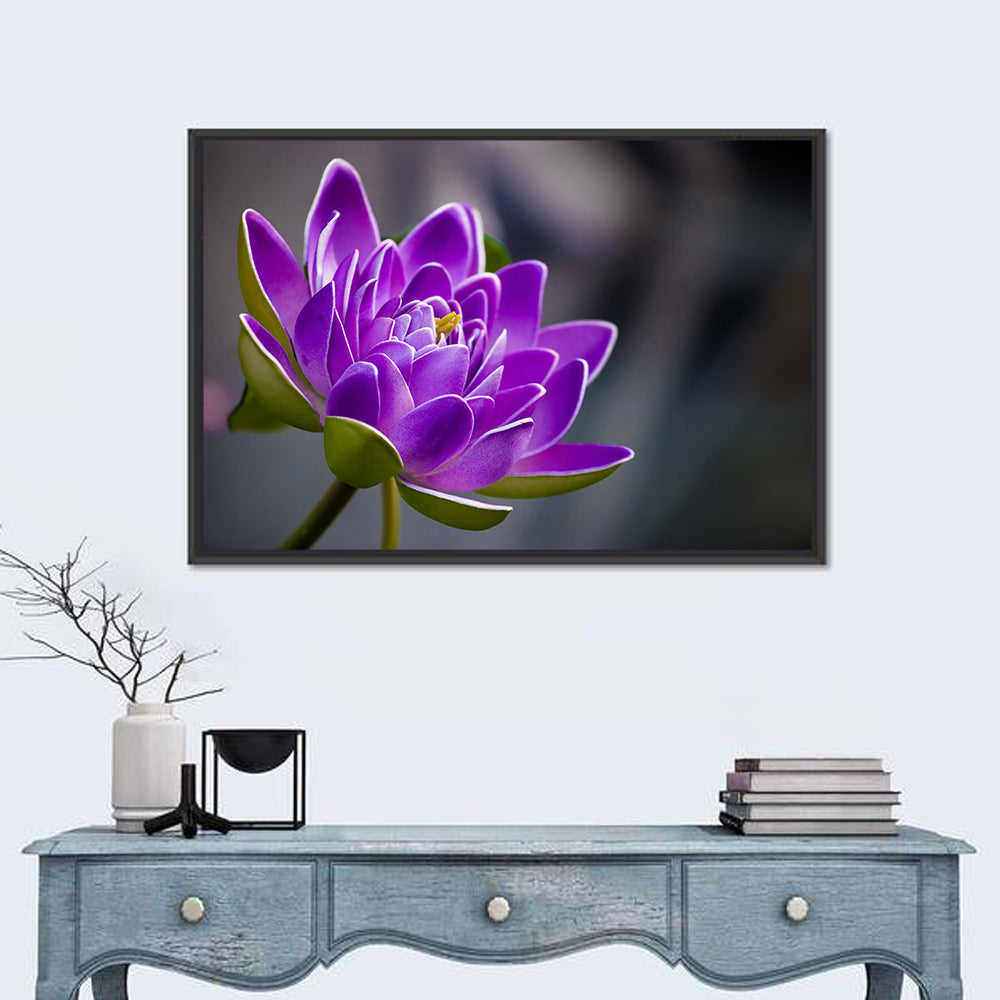 Purple Water Lily Close-up Wall Art in a room, landscape