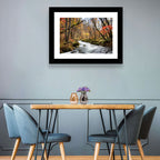 Sunlit Forest Stream Wall Art