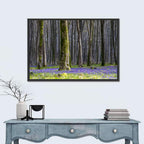 Bluebell Beechwood Grove Wall Art