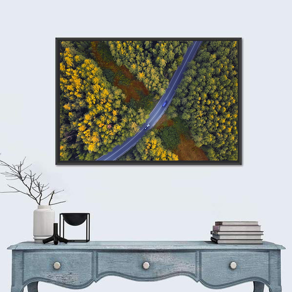 Aerial Autumn Forest Road Wall Art in a room, landscape