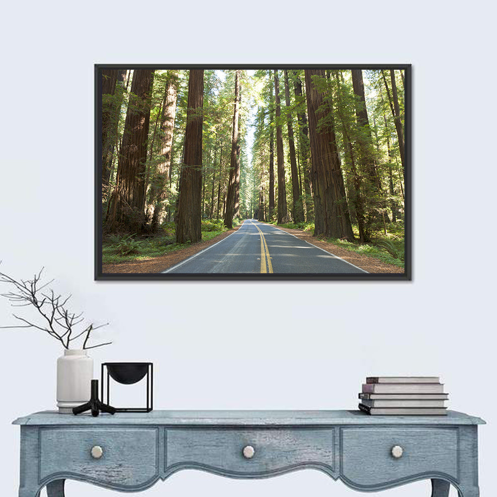Giants Avenue Redwood Forest Road Wall Art in a room, landscape
