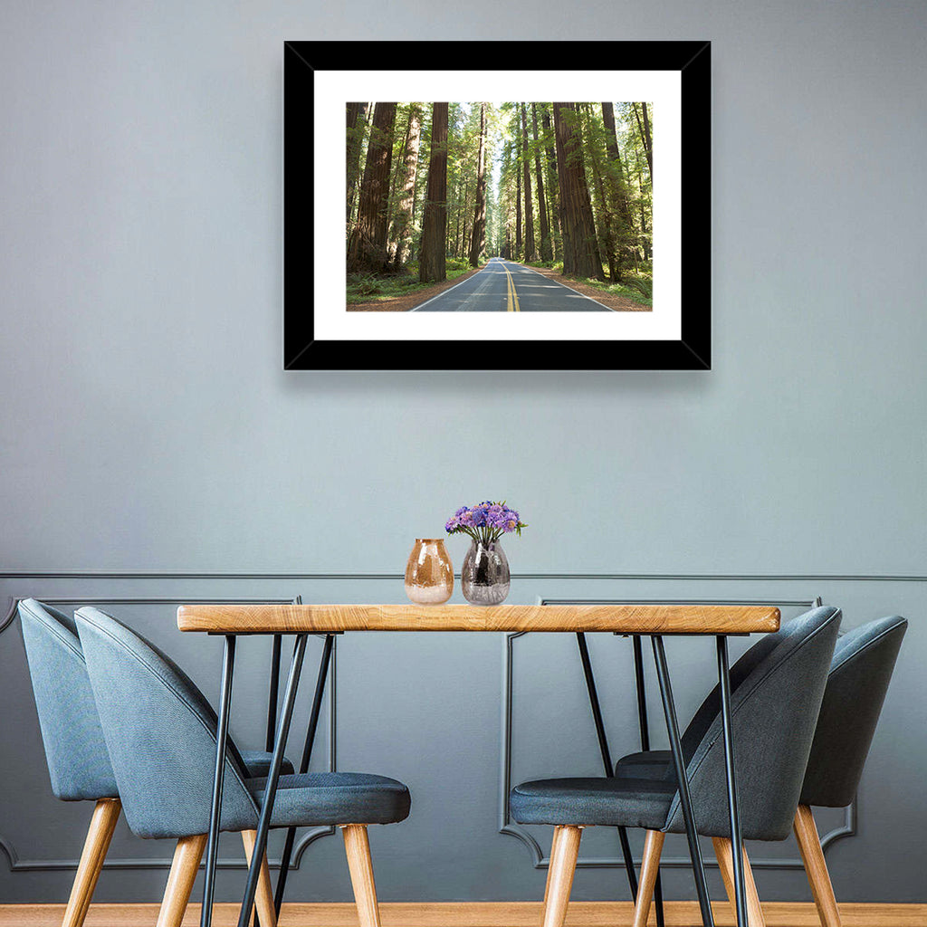 Giants Avenue Redwood Forest Road Wall Art