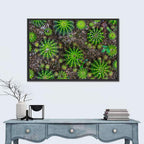 Top-down Cactus Garden Wall Art