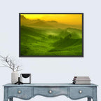 Sunlit Tea Plantation Hills Wall Art