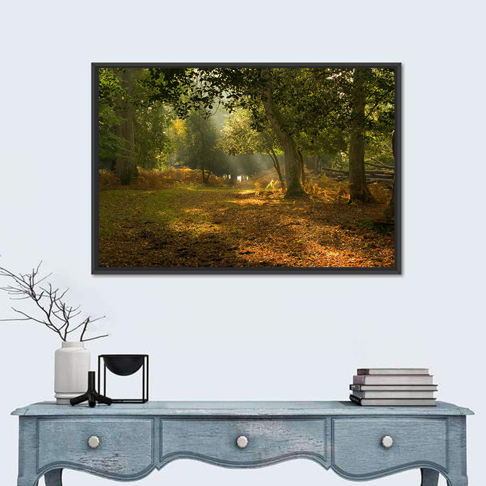 Autumn Forest Path, Hampshire Wall Art in a room, landscape
