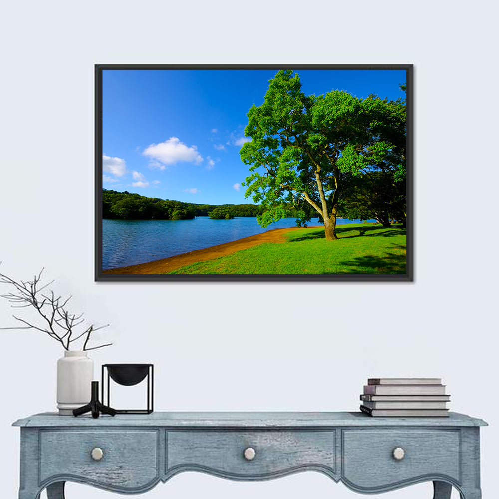 Lake Ippeki Solitary Tree Wall Art in a room, landscape