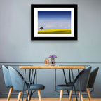 Solitary Tree Over Rapeseed Field Wall Art