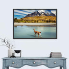 Torres Del Paine, Patagonia Wall Art