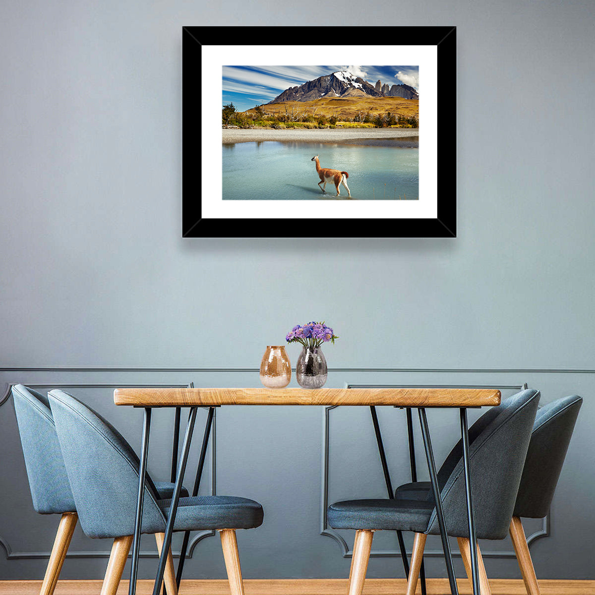 Patagonia National Park Wall Art