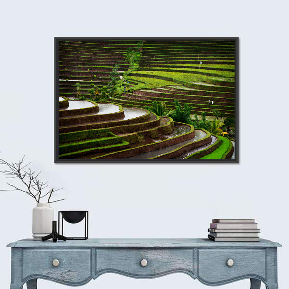 Lush Rice Terraces Wall Art in a room, landscape