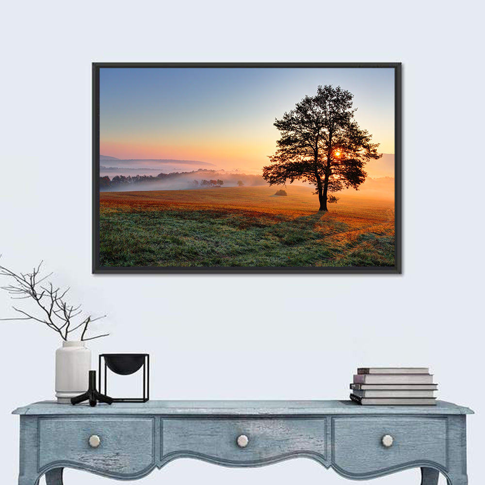 Misty Meadow Sunrise with Lone Tree Wall Art