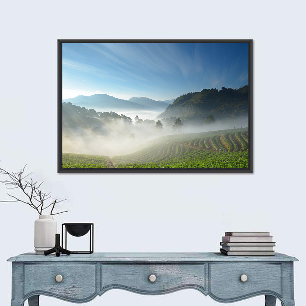 Sunlit Terraced Tea Hills Wall Art in a room, landscape