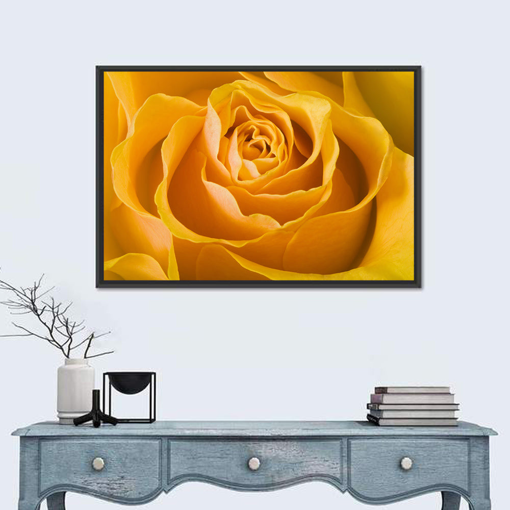 Yellow Rose Close-up Wall Art in a room, landscape