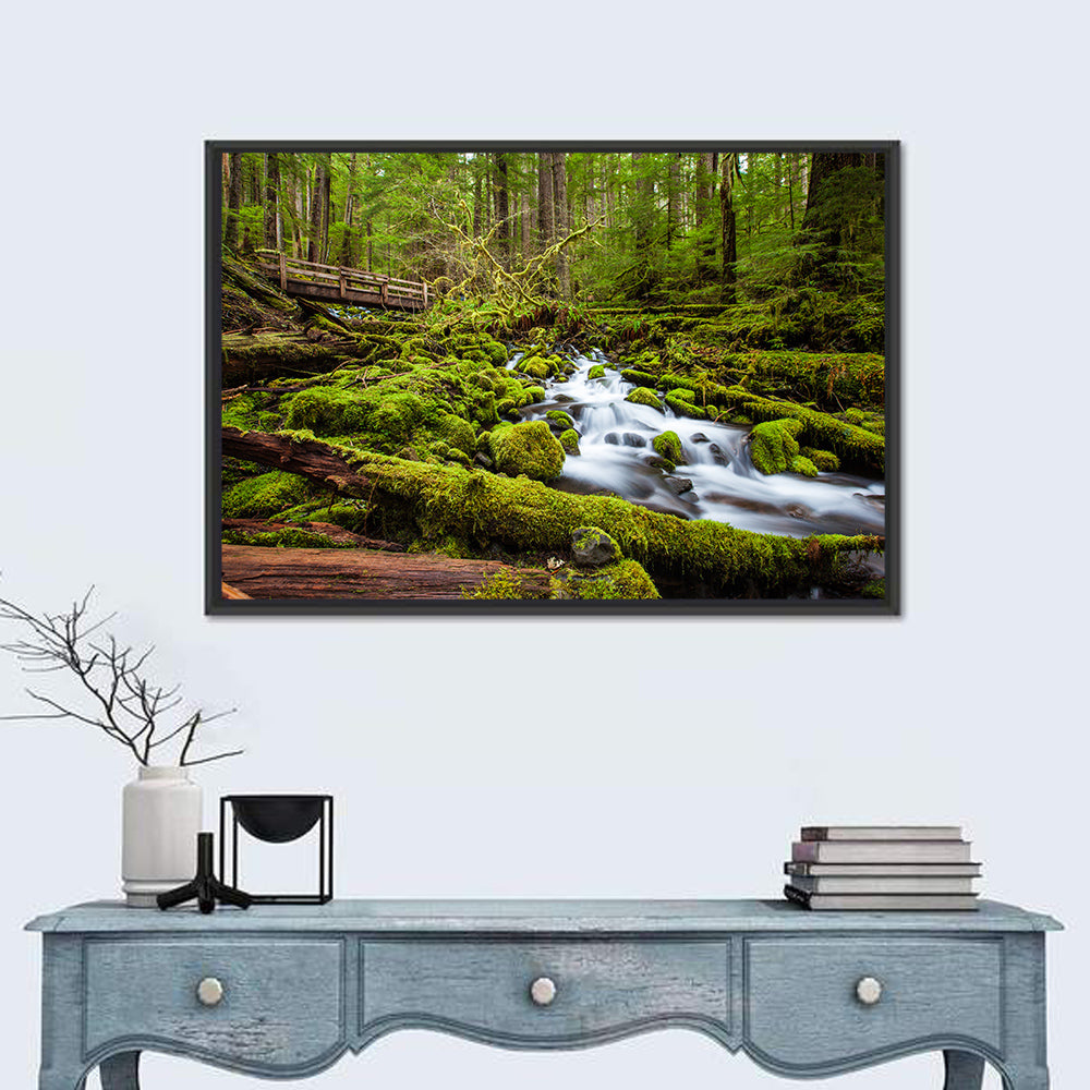 Mossy Cascade Forest Stream Wall Art