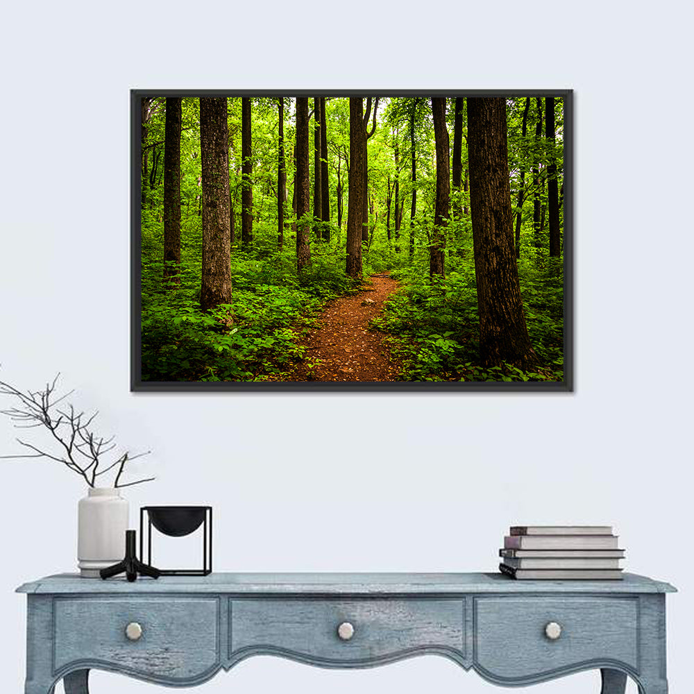 Shenandoah National Park Trail Wall Art in a room, landscape
