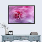 Ethereal Pink Rose Bloom Wall Art