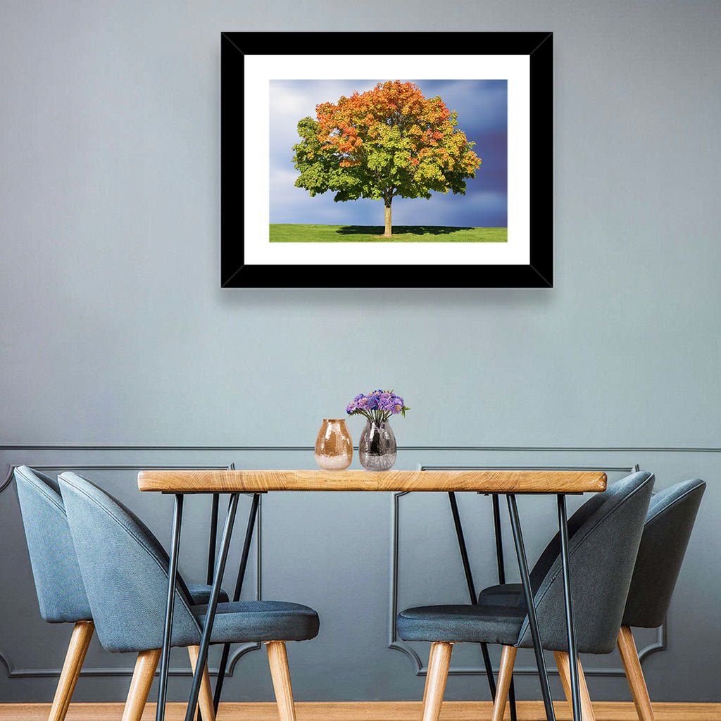 Maple with Split Foliage Wall Art