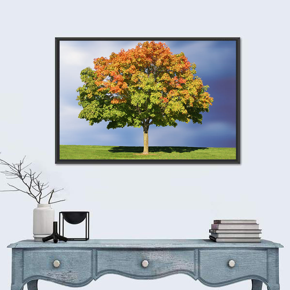 Maple with Split Foliage Wall Art in a room, landscape