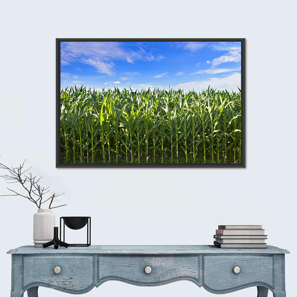 Green Corn Field Wall Art