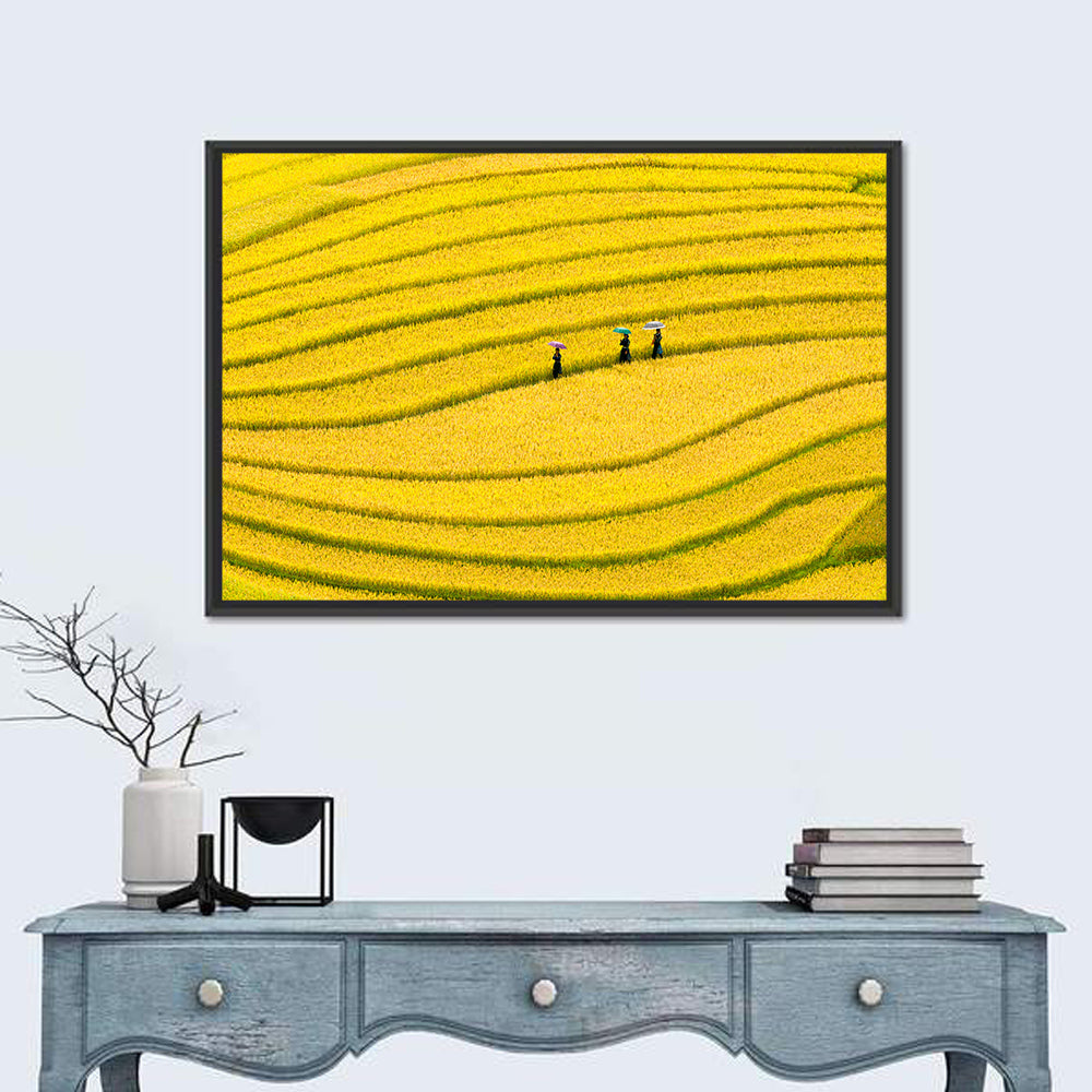 Golden Rice Terraces with Umbrellas Wall Art