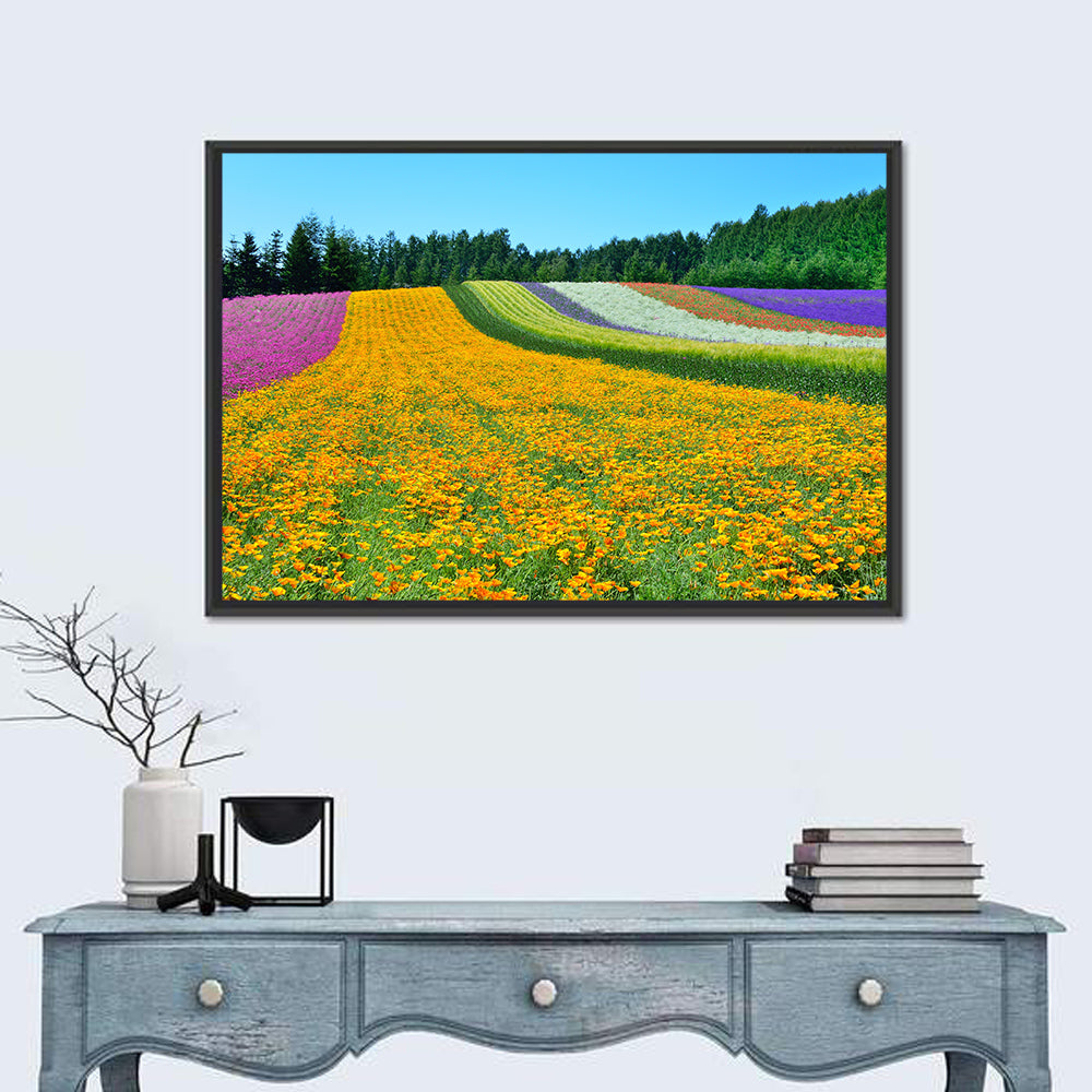 Tomita Flower Fields, Nakafurano Wall Art in a room, landscape