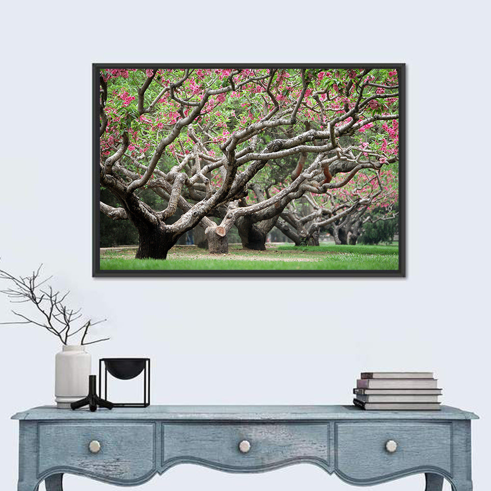 Peach Orchard in Bloom Wall Art