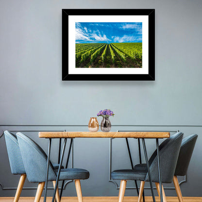 Luxembourg Vineyards Wall Art