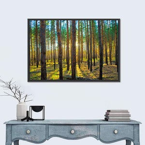 Scots Pine Forest Wall Art