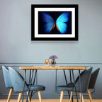 Blue Butterfly Macro Study Wall Art