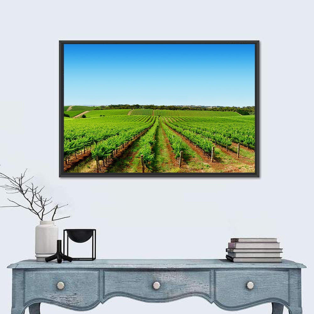 Sunlit Vineyard Rows Wall Art in a room, landscape