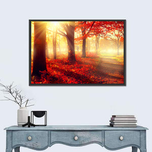 Autumnal Park Sunlight Wall Art