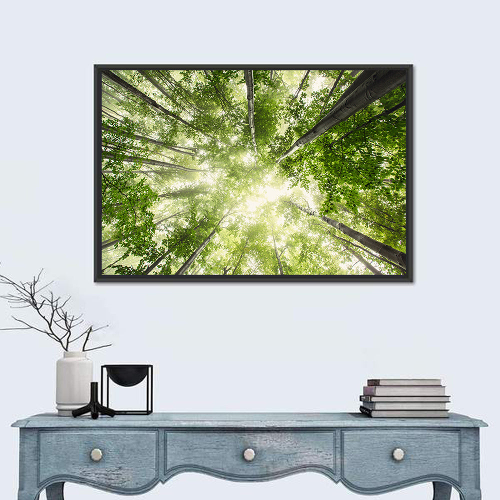 Spring Canopy in Morning Mist Wall Art in a room, landscape