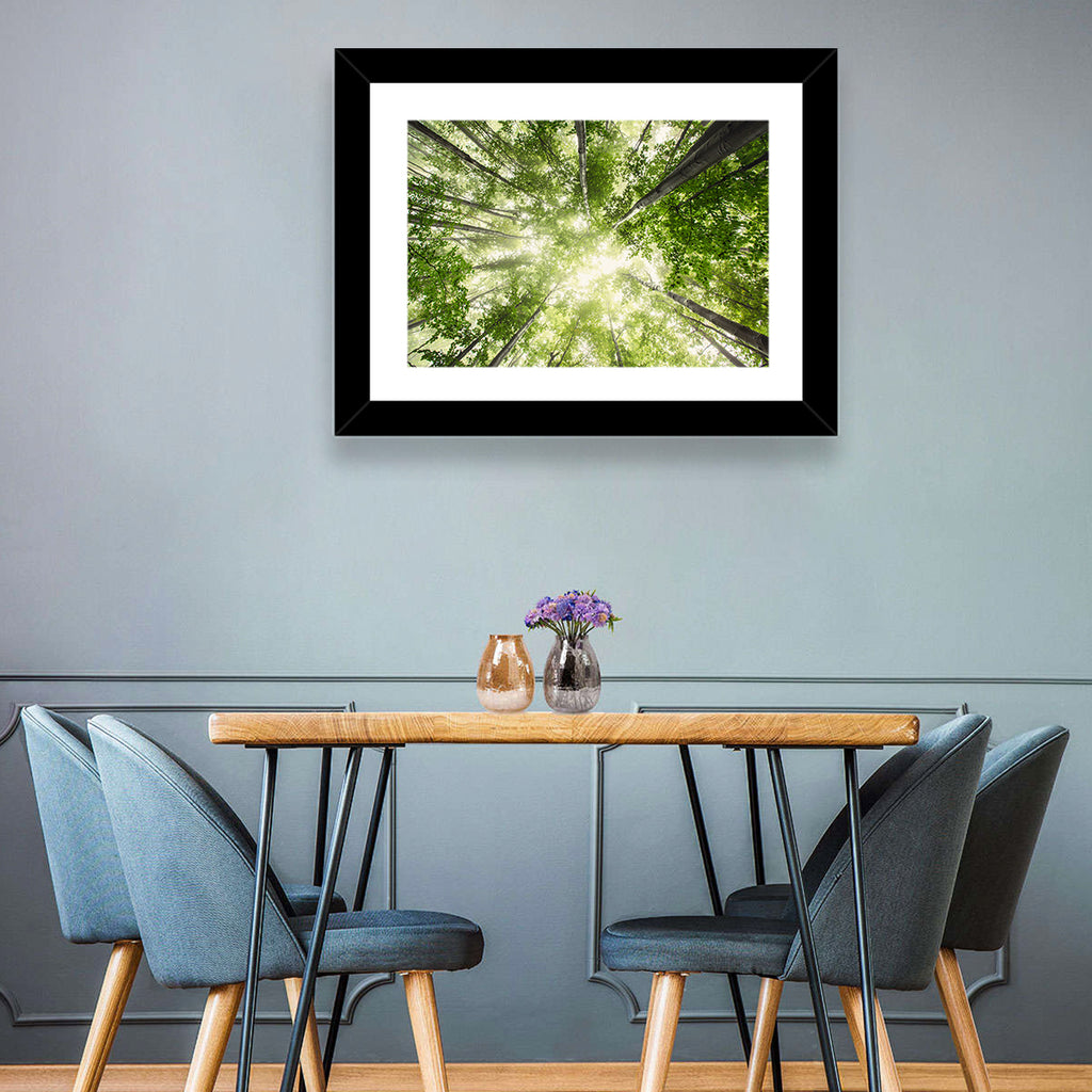 Spring Canopy in Morning Mist Wall Art