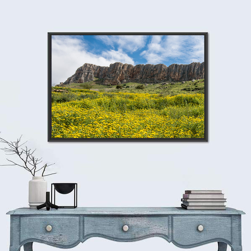 Mount Arbel Wildflower Meadow Wall Art in a room, landscape