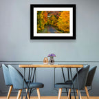 Autumn Road Through Wisconsin Park Wall Art