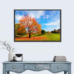 Orange Maple on Rolling Hill Wall Art