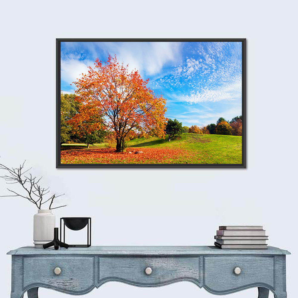 Orange Maple on Rolling Hill Wall Art