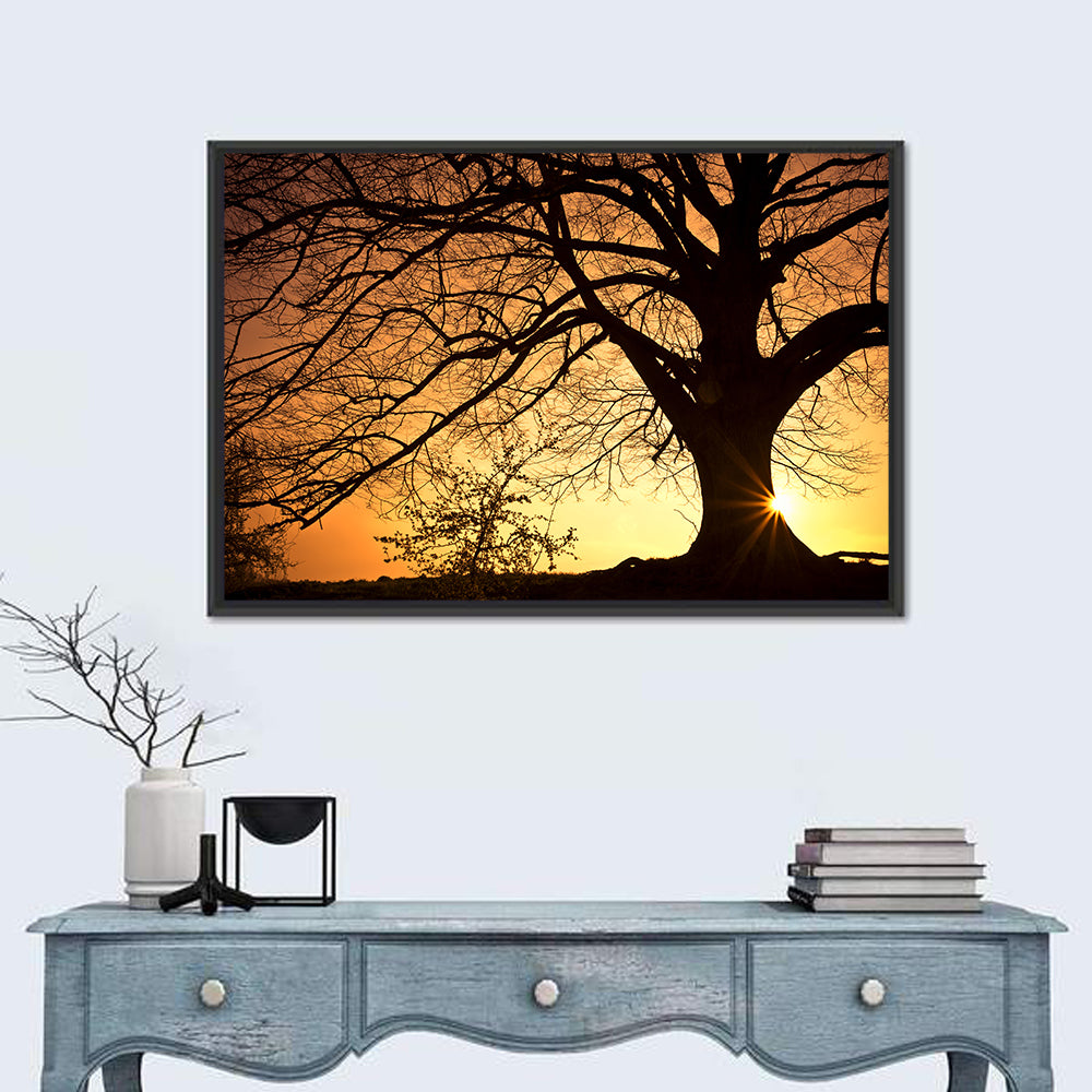 Willow Tree Sunset Wall Art in a room, landscape
