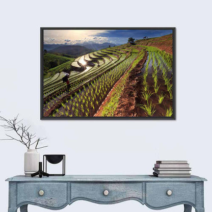 Chiang Mai Rice Fields Wall Art
