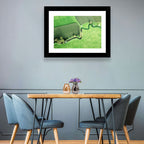 Meandering Stream Over Farmland Wall Art