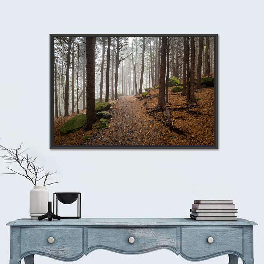 Misty Appalachian Trail Path Wall Art