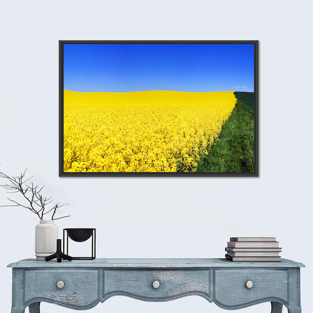 Sunlit Rapeseed Field Wall Art in a room, landscape