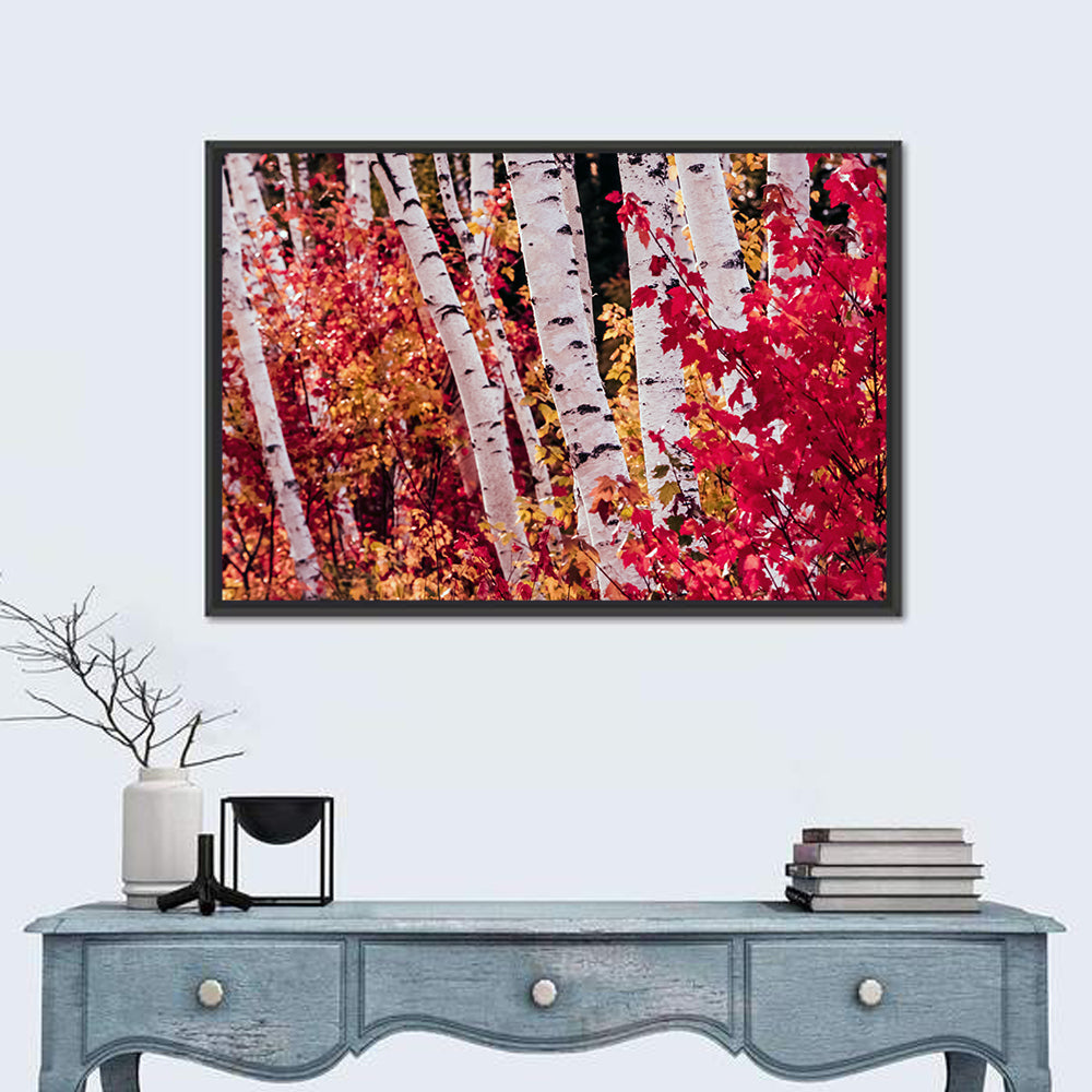 Autumn Birches with Crimson Maples Wall Art in a room, landscape