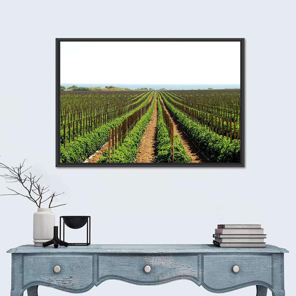 Tomato Fields Wall Art in a room, landscape
