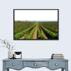 Tomato Fields Wall Art