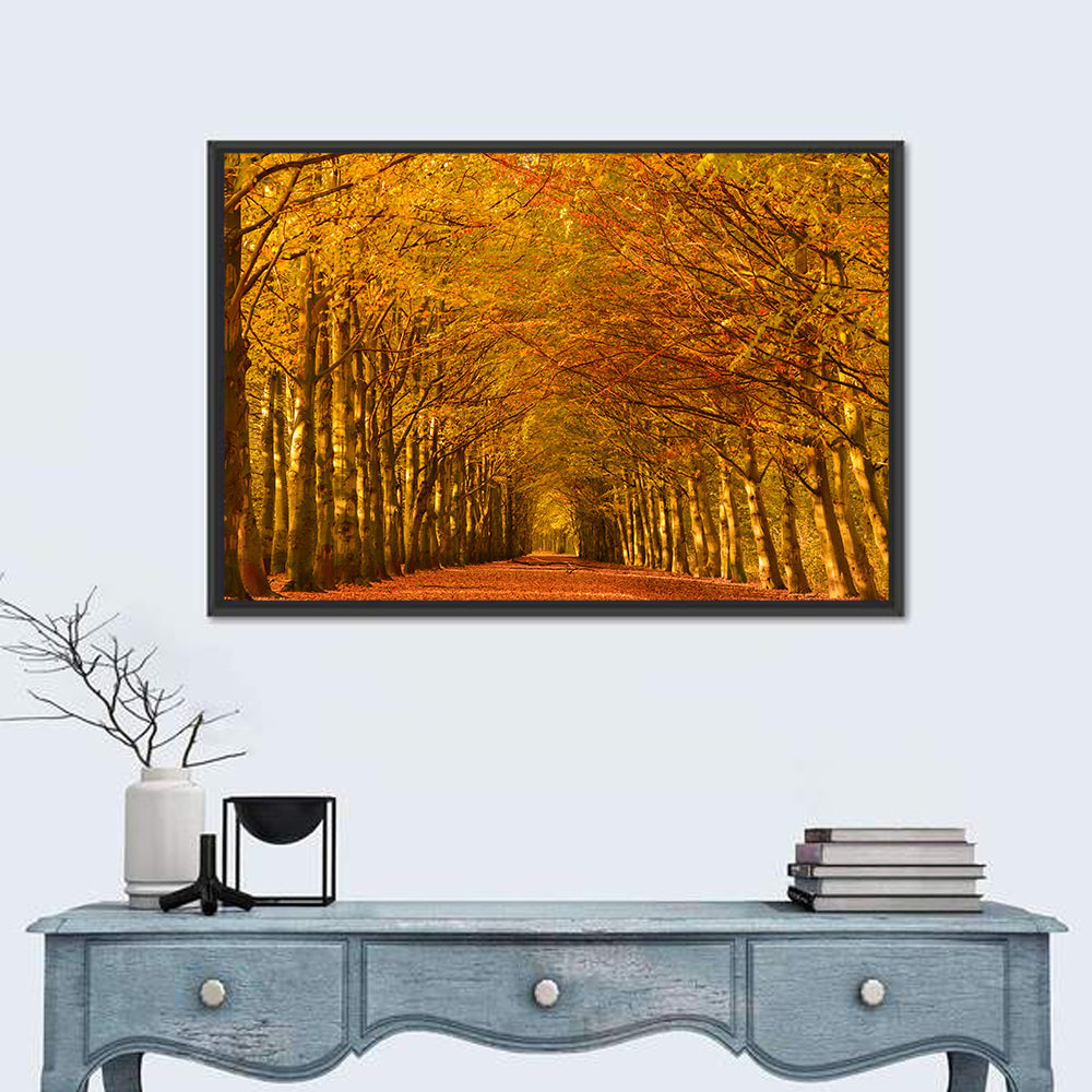 Golden Beech Tree Tunnel in Autumn Wall Art