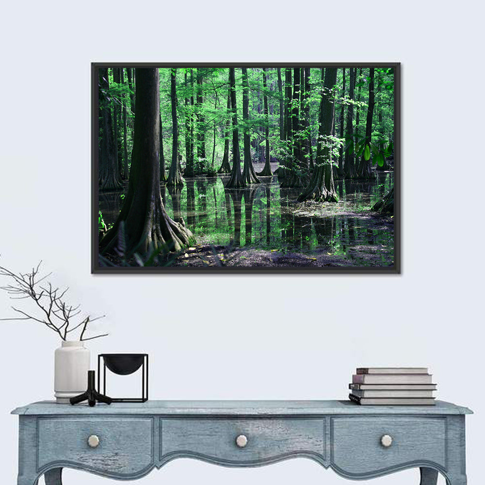 Congaree Swamp Columbia Wall Art