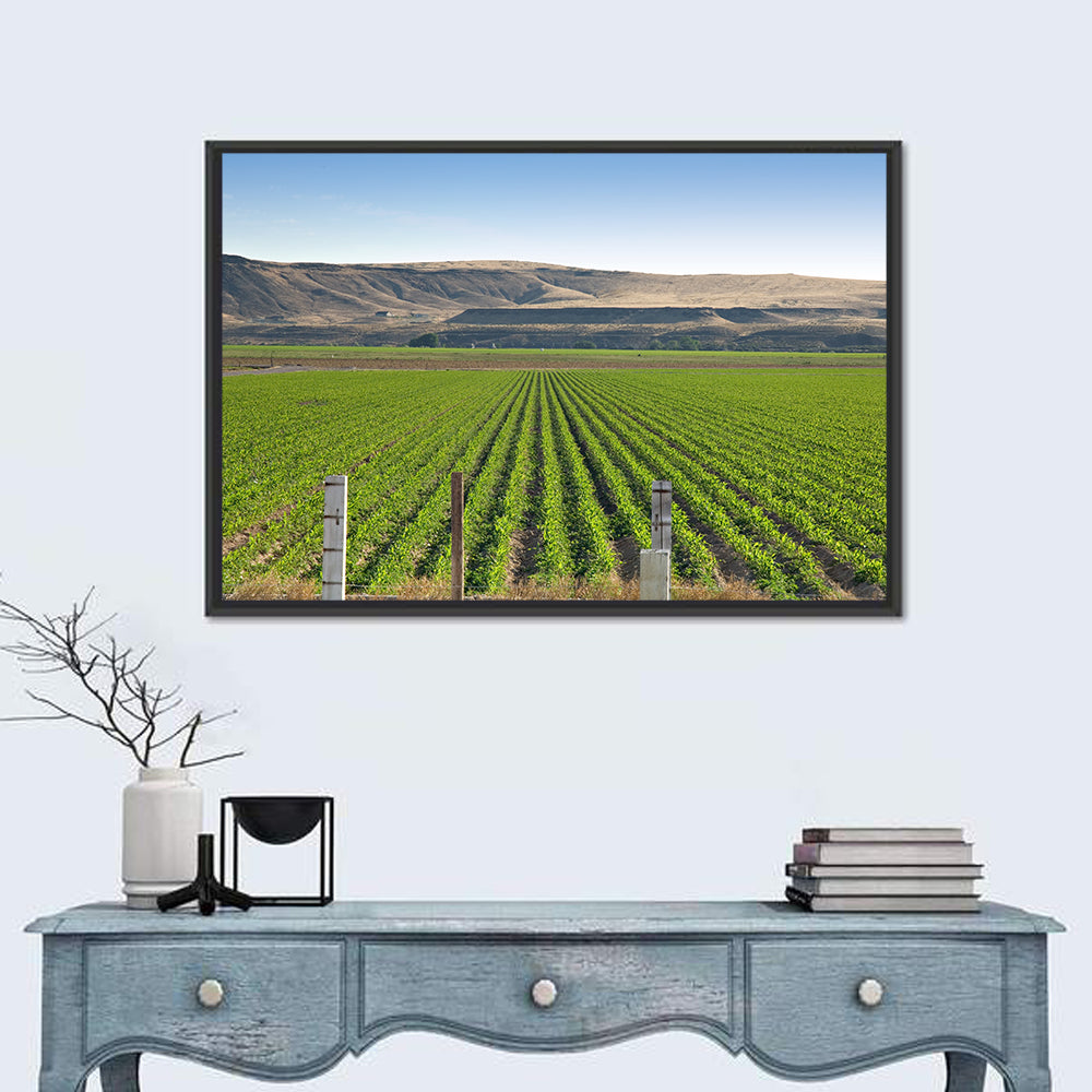 Idaho Corn Field Wall Art in a room, landscape