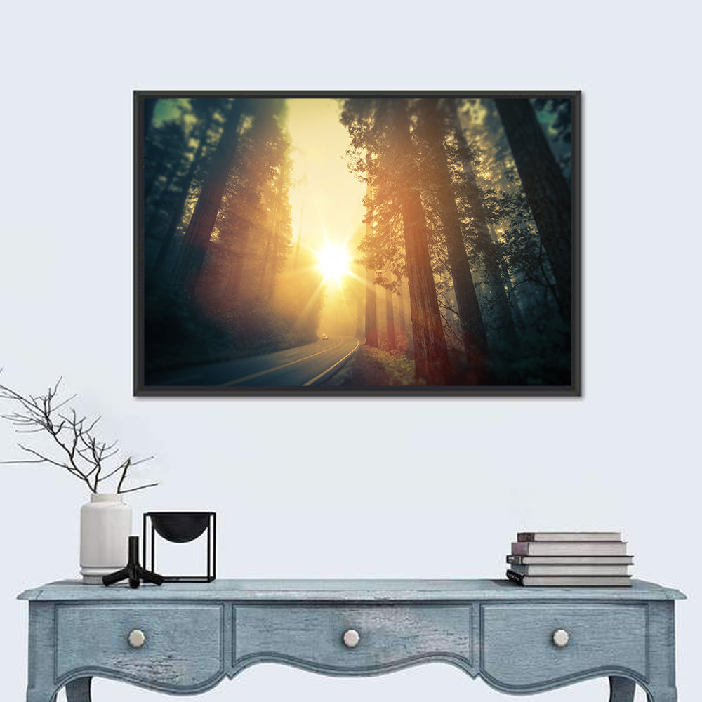Misty Redwood Road with Golden Sunburst Wall Art
