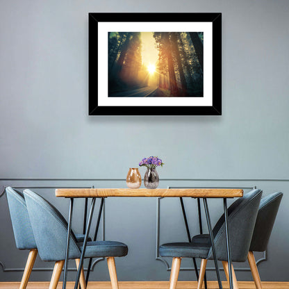 Redwood Forest Road Wall Art